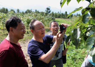 中國(guó)林科院資昆所陳曉鳴博士(中)考察基地